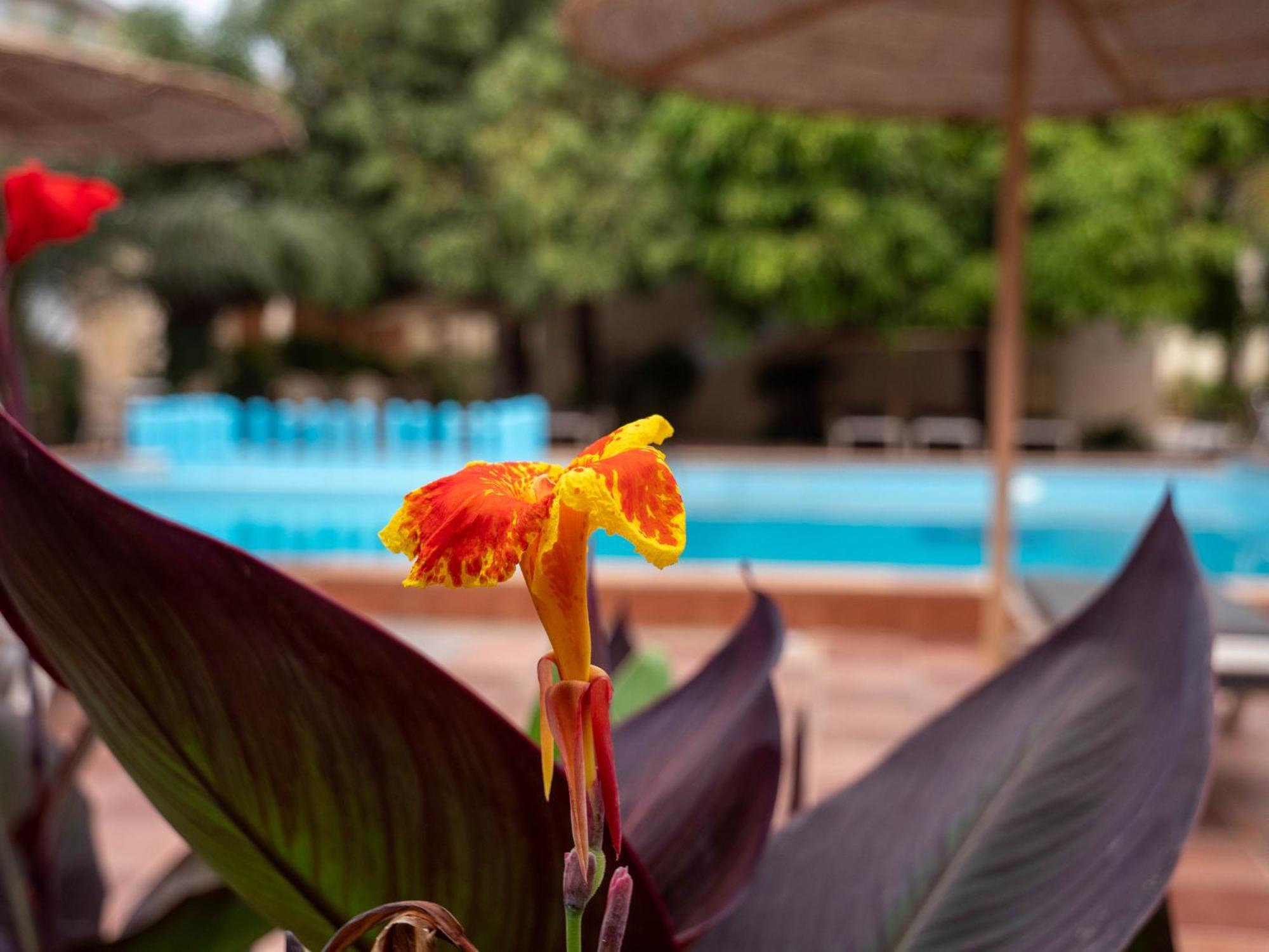 Cape Point Hotel Bakau Εξωτερικό φωτογραφία